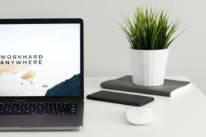 Web design and development services by Extreme Webbing
